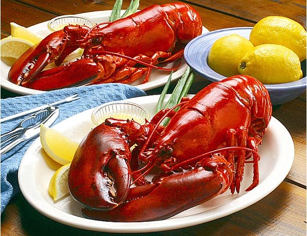 Lobster Termahal