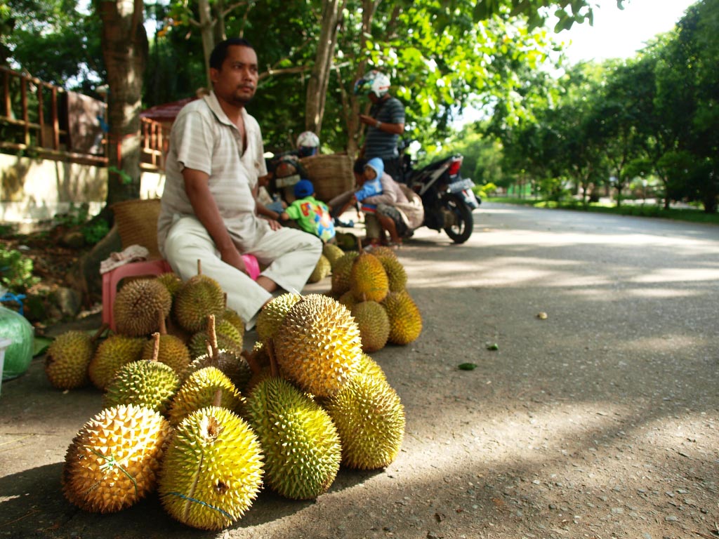 Gambar Kata Lucu Durian Terbaru Dp Bbm Lucu Untuk Hari Ini