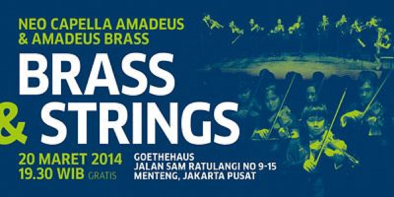 20140306 Bass Strings Goethe
