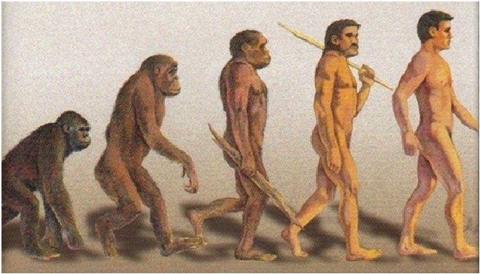 darwin proses evolusi manusia