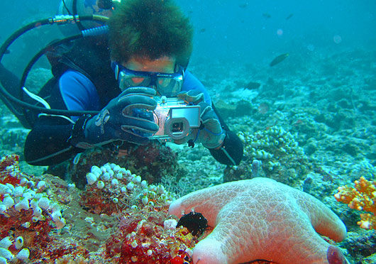 Kenali kondisi dalam air (www.europeandivingcentre.com)