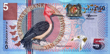 Dolar Suriname (Sandyanadam)