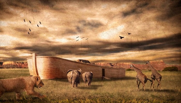ark of noah by robsonbatista d2628ch robsonbatista deviantart com