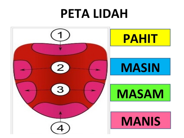 Jangan Dipercaya, Ini Mitos Keliru Tentang Sains - Jadiberita.com