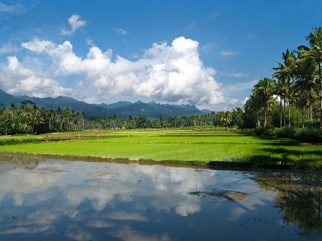 Tanah Indonesia (Invonesia)