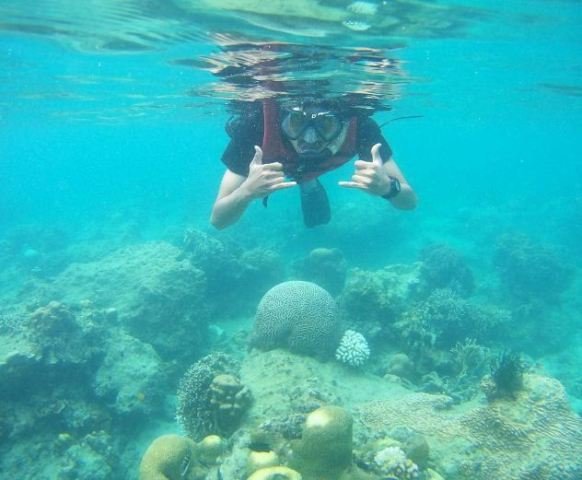 Snorkeling di Pulau Semak Daun (instagram.com)