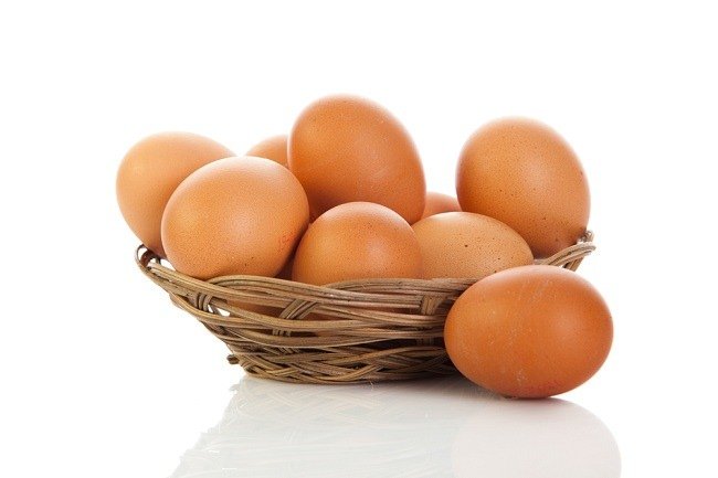 Telur Alodokter