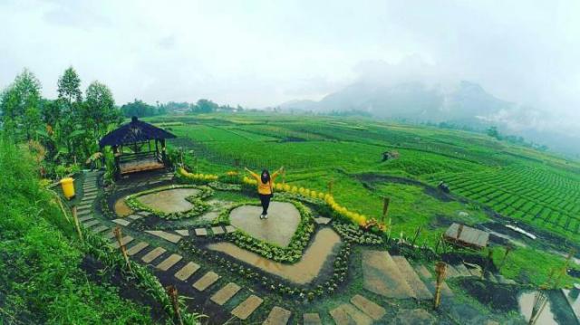 Cafe Sawah Pujon Malang iqbalazhari.com Sejuknya Wisata Instagramable di Cafe Sawah Pujon Kidul Malang