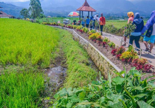 Jalanan Menuju Cafe Sawah ghozaliq.com Sejuknya Wisata Instagramable di Cafe Sawah Pujon Kidul Malang