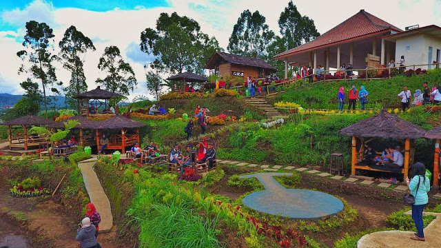 Pujon Kidul Malang www.brobali.com Sejuknya Wisata Instagramable di Cafe Sawah Pujon Kidul Malang