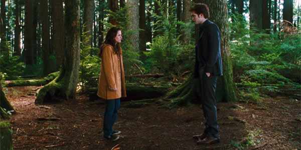 Hutan di film Twilight Way2enjoy Pesona Wisata Mangunan dengan Keindahan Hutan Pinus Bak di Film Twilight