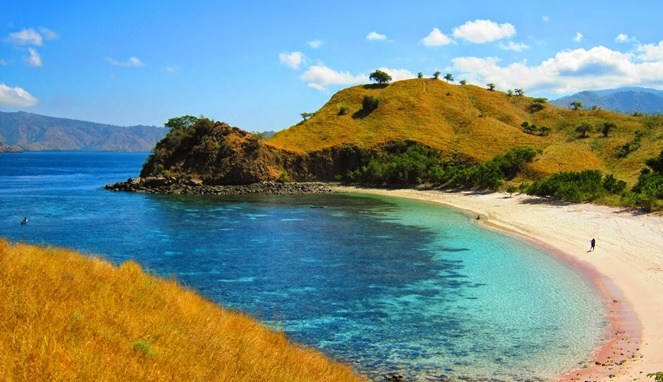 Pantai Pink Pemudamaritim Deretan Destinasi Wisata di Manggarai yang Instagrammable