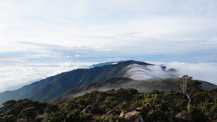 Gunung Latimojong Surbaktineva Daftar Gunung Tertinggi di Indonesia, Bukti Melimpahnya Kekayaan Alam Tanah Air Kita