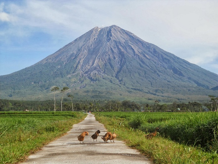 Gunung Semeru Terletak Di - Homecare24