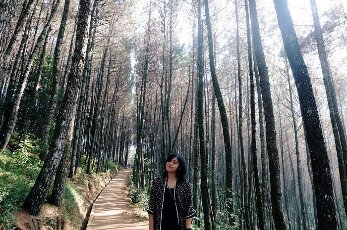 Gregoria di tengah hutan Bukit Moko Instagram