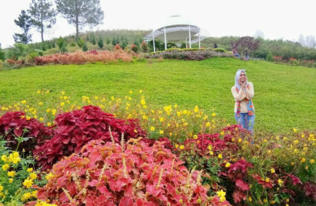 Liburan Cantik Ke Sapo Juma Sumut Yang Saingi Taman Bunga