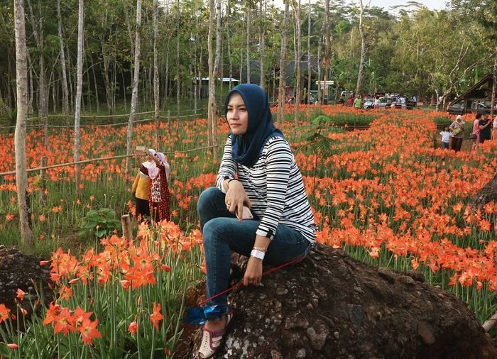 Taman Bunga Amarilis Instagram