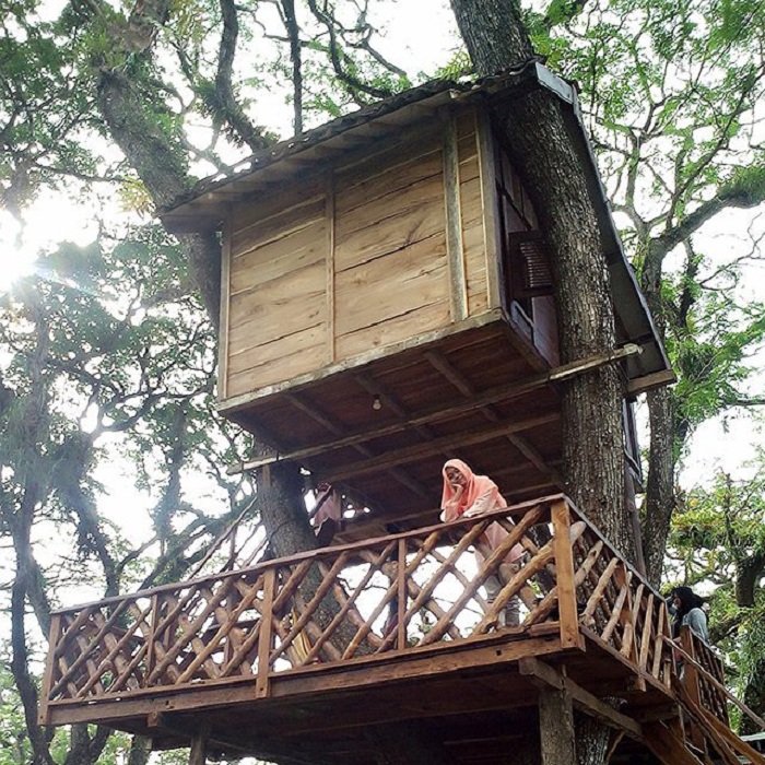 Rumah Pohon TPK Jatirogo Instagram