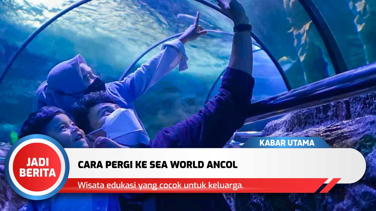 Cara Pergi Ke Sea World Ancol Dari Depok Bekasi Dan Tangerang